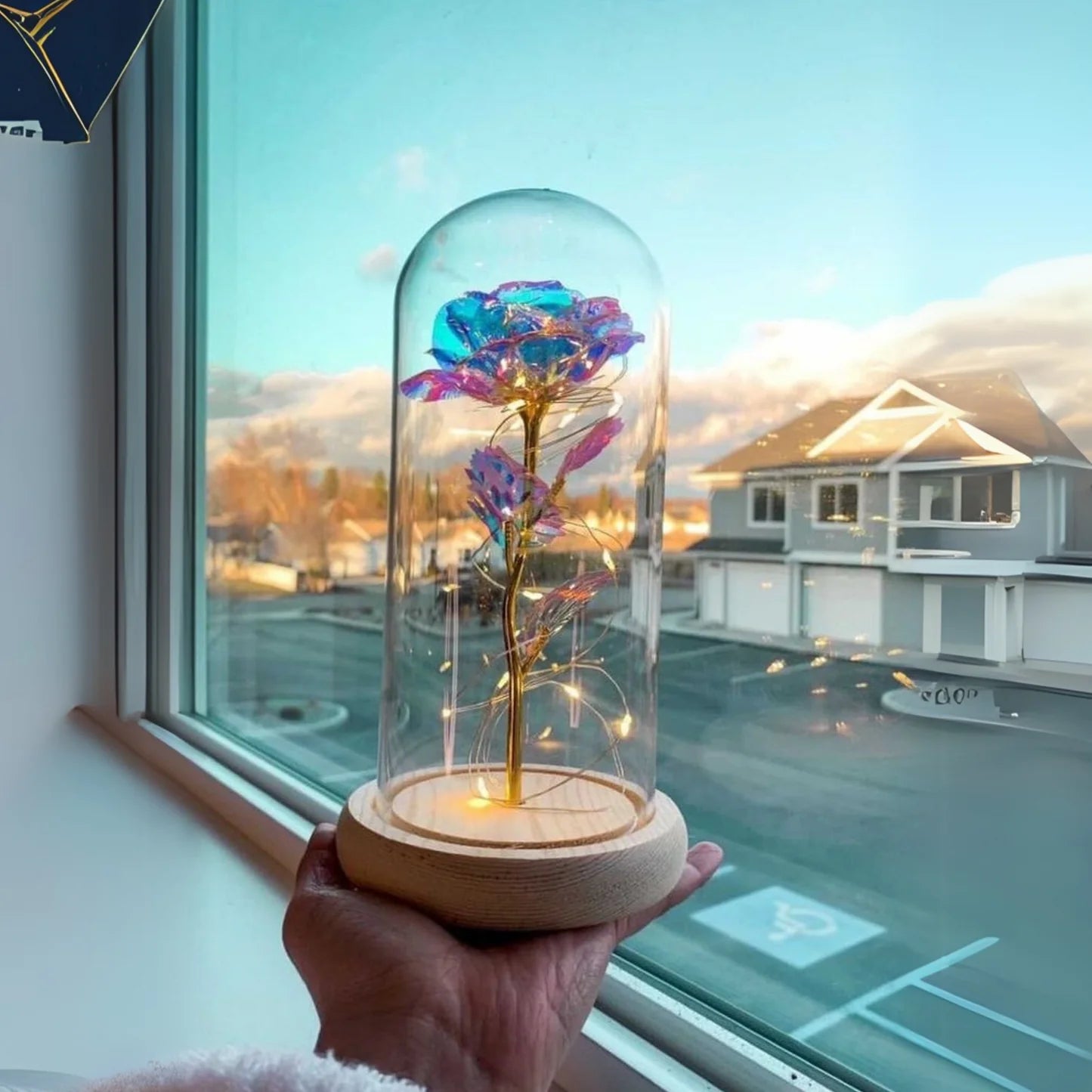 Decent Rose & LED Light in A Borosilicate Glass Dome | Anniversary Gifts | Gift for Girlfriend,